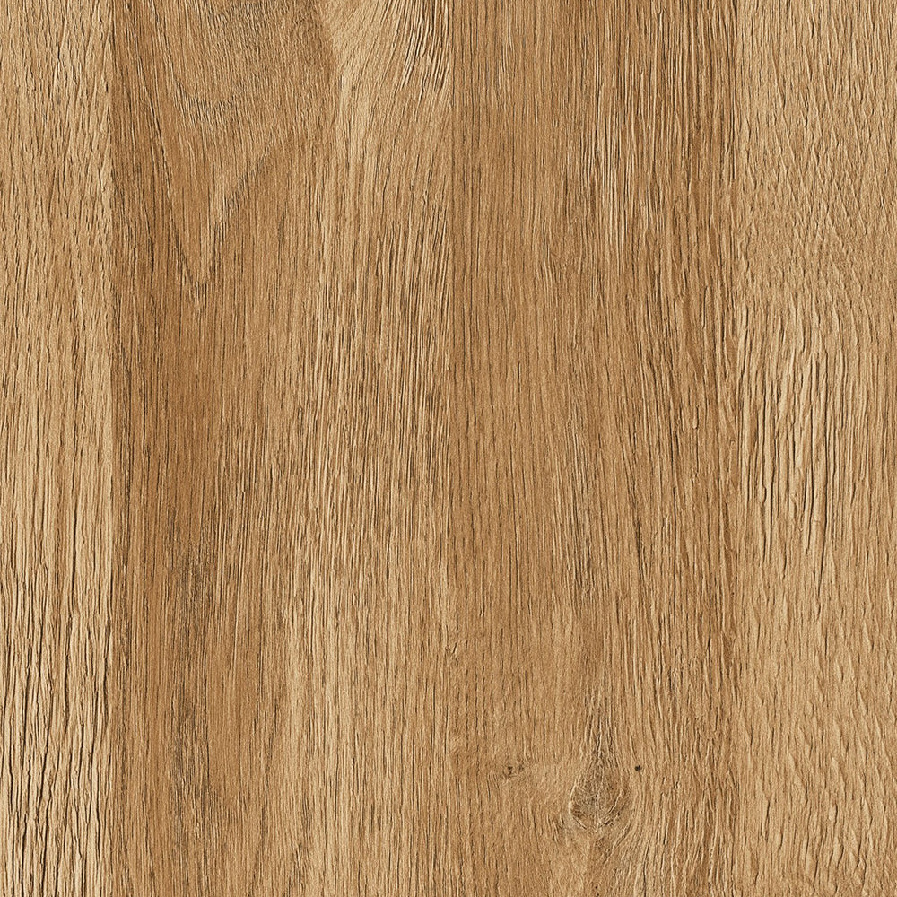Cortina 2 Door 1 Drawer Tall TV Cabinet in Grandson Oak