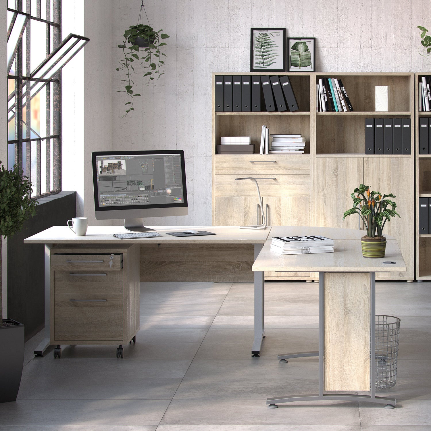 Professional Office Collection